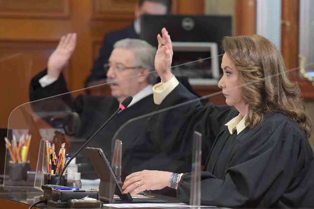 El Tribunal Federal de Justicia Administrativa (TFJA) clasifica como reservada y confidencial la sentencia a favor de Yasmín Esquivel&nbsp;Mossa