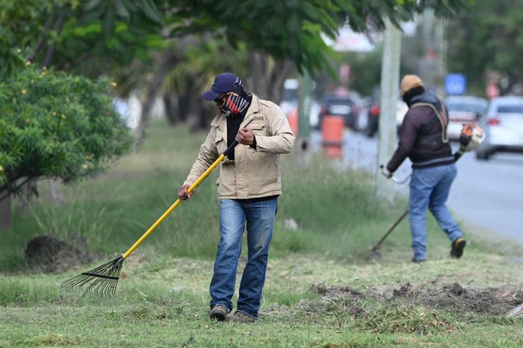 Intensifica Municipio limpieza y alumbrado en parques y&nbsp;jardines.