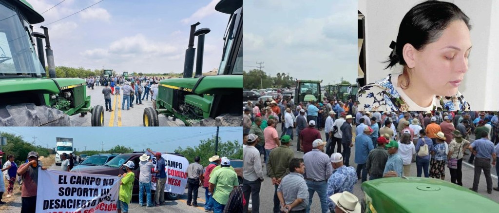 CASANDRA, UNA DIPUTADA FEDERAL INSERVIBLE Y QUIERE SER&nbsp;ALCALDESA