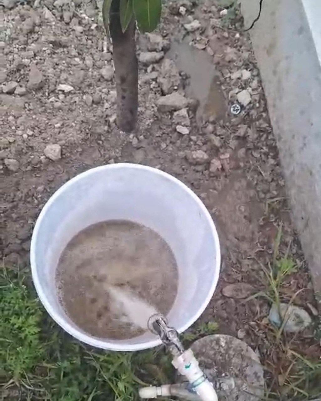 COMAPA Altamira mejora suministro y calidad del&nbsp;agua