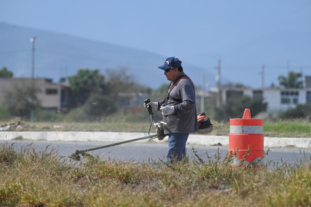 Municipio limpia y conserva 35 mil metros lineales de avenidas y&nbsp;jardines.