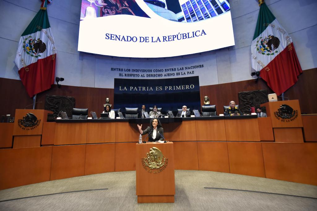 Recuperamos CFE y Pemex como empresas públicas del Estado: Olga&nbsp;Sosa