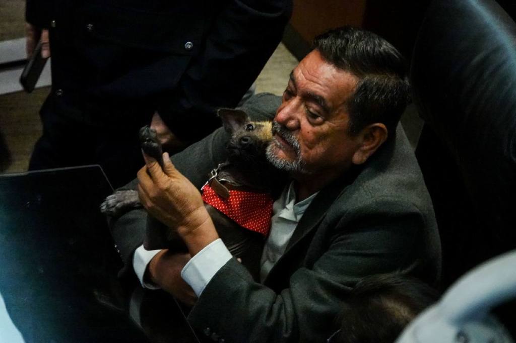 Partido Verde impulsa aplazamiento en reforma contra el&nbsp;nepotismo