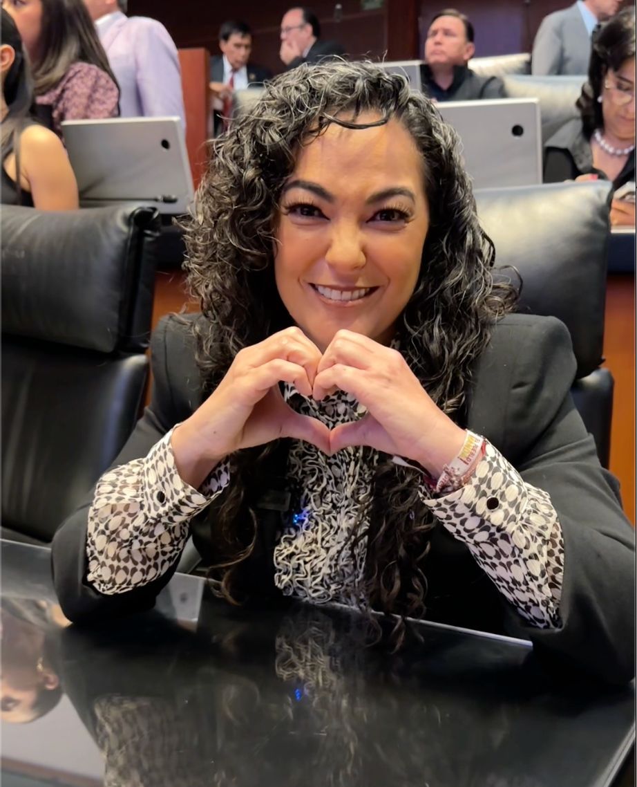 Plasmar en la constitución el programa «Jóvenes construyendo el futuro», un derecho para la capacitación e inserción laboral: Olga&nbsp;Sosa