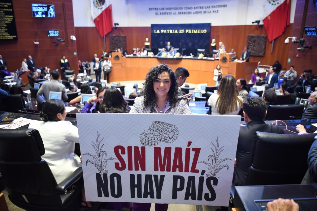 El maíz elemento de identidad nacional, diversidad será protegida por la Constitución: Olga&nbsp;Sosa