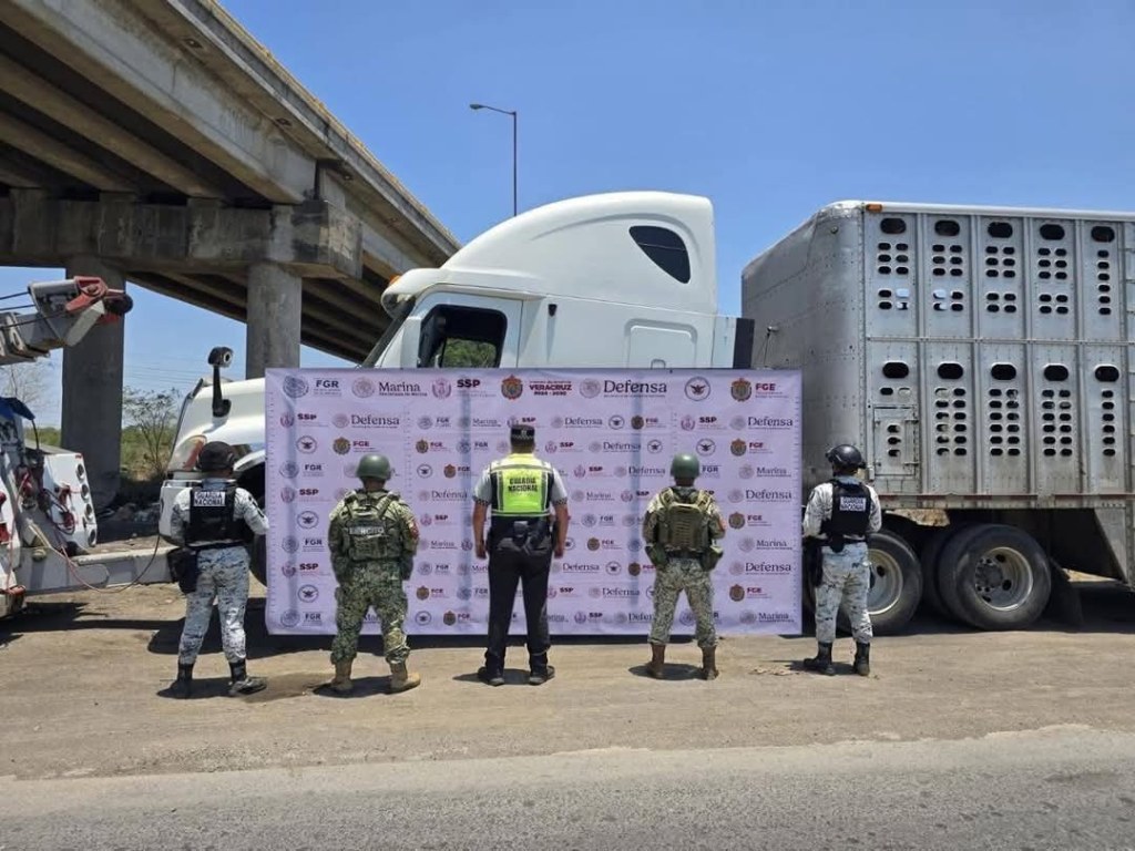 Aseguran tráiler con 69 vacas robadas en Tampico&nbsp;Alto
