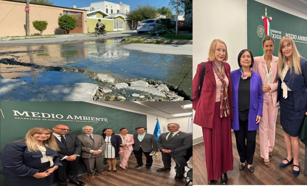 LO QUE MAKI, “LA SENADORA DE PACOTILLA, OCULTA DE&nbsp;REYNOSA”