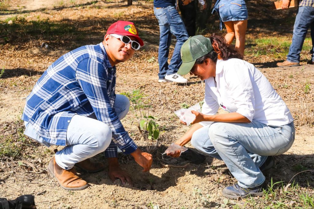 Tamaulipas se une con fuerza a la Jornada Nacional de Tequios por la paz y contra las&nbsp;adicciones