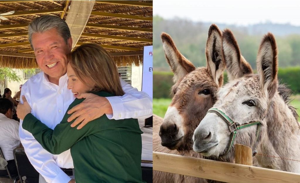 Casandra de los Santos y Ricardo Monreal: “Dios los hace y la política los&nbsp;junta”