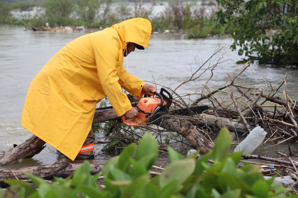 Encabeza Armando Martínez limpieza en diques del estero El&nbsp;Camalote
