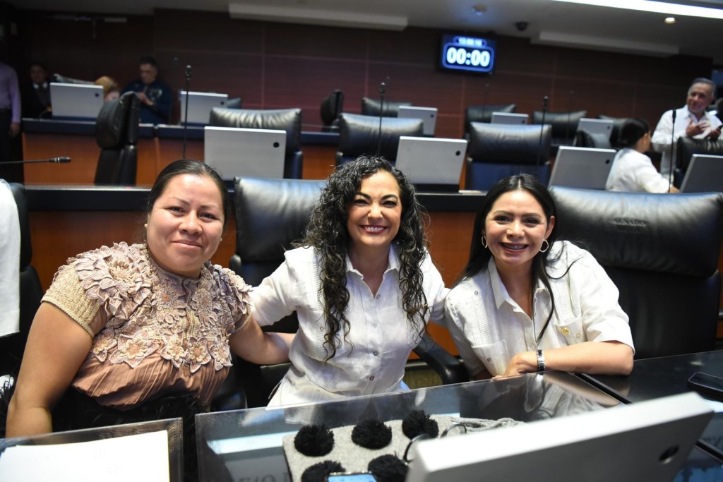 Avanza en el Senado reforma de Olga Sosa para preservar acervo&nbsp;indígena