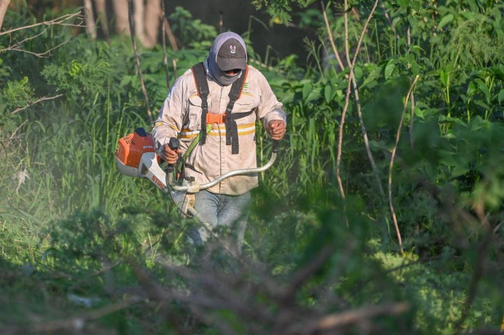 Sociedad y gobierno, saneancauce del río San&nbsp;Marcos.