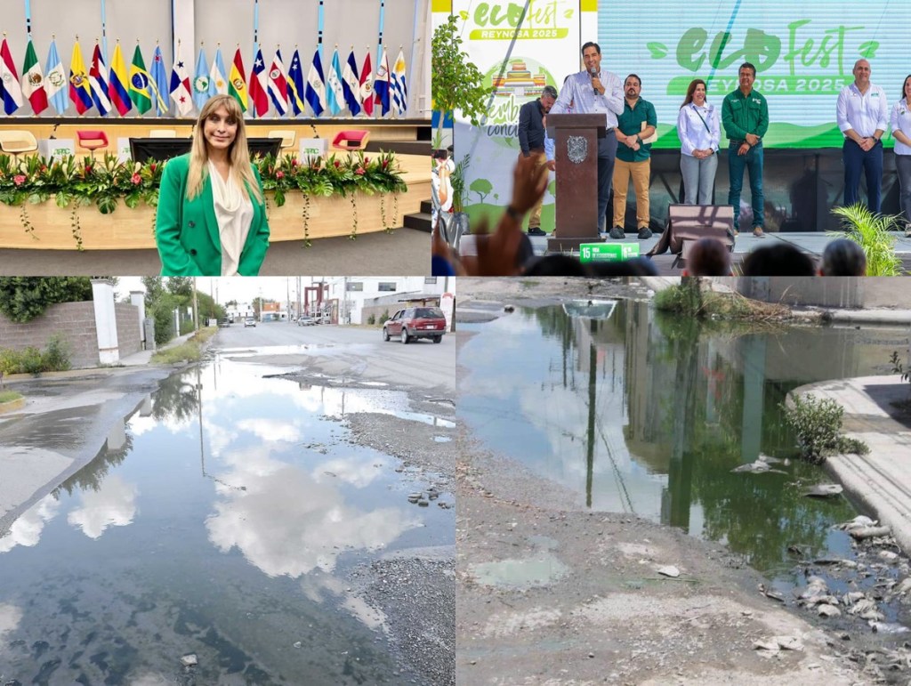 CARLOS, ¿QUÉ LINDO MEDIO AMBIENTE EL DE&nbsp;REYNOSA?