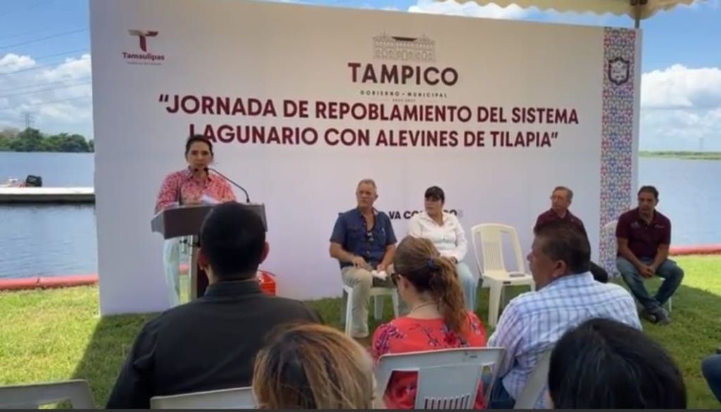 Repoblan sistema lagunario de Tampico con alevines de catán y&nbsp;tilapia
