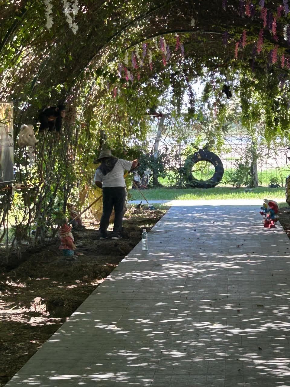 Se reactivan quintas&nbsp; de las márgenes del río&nbsp;Tamesí.