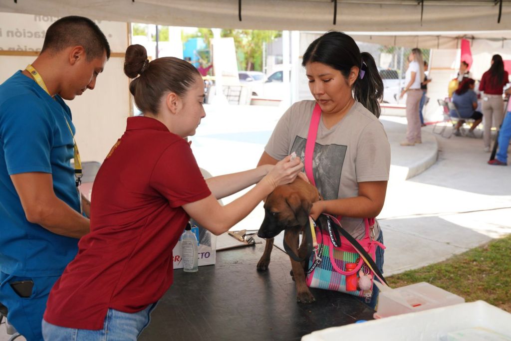 GOBIERNO DE NUEVO LAREDO ACERCA LOS SERVICIOS MUNICIPALES A LA COLONIA EL CAMPANARIO CON PRESIDENCIA CERQUITA DE&nbsp;TI