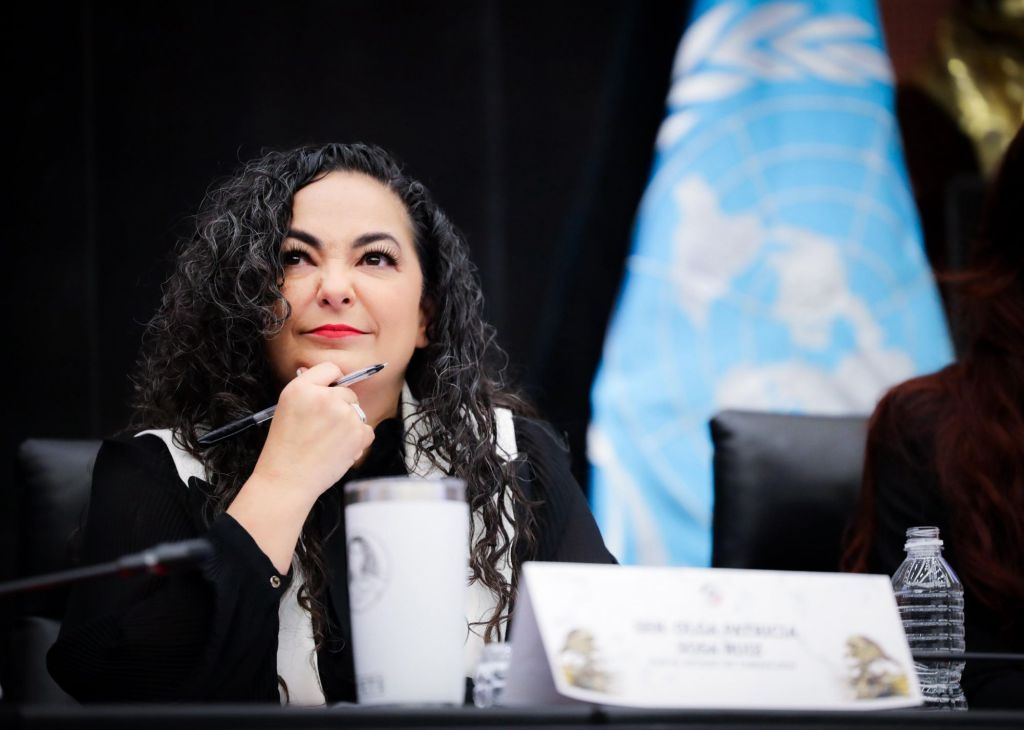 Senadora Olga Sosa reconoce la capacidad de negociación, inteligencia y liderazgo de la presidenta Claudia Sheinbaum con&nbsp;EUA