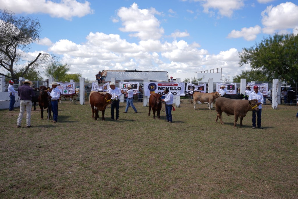 IMPULSA GOBIERNO MUNICIPAL COMO NUNCA ANTES AL SECTOR GANADERO DE NUEVO&nbsp;LAREDO