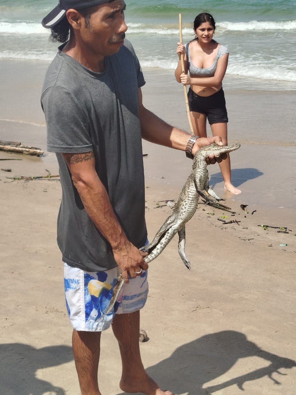 Capturan cocodrilo en playa Miramar piden extremar&nbsp;precauciones
