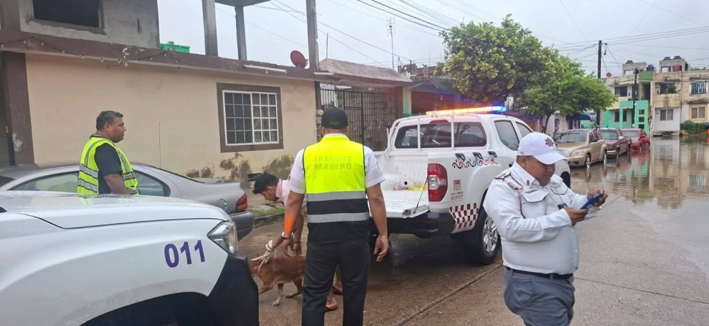 Evacúan a familias por lluvias en la colonia Hidalgo Oriente de Ciudad&nbsp;Madero