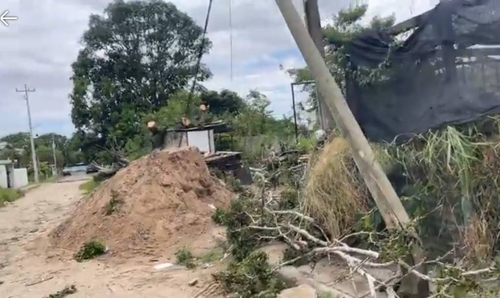 El ingreso de fuerte norte provocó desde las 06:00 horas la caída de árboles y afectaciones menores en&nbsp;Altamira