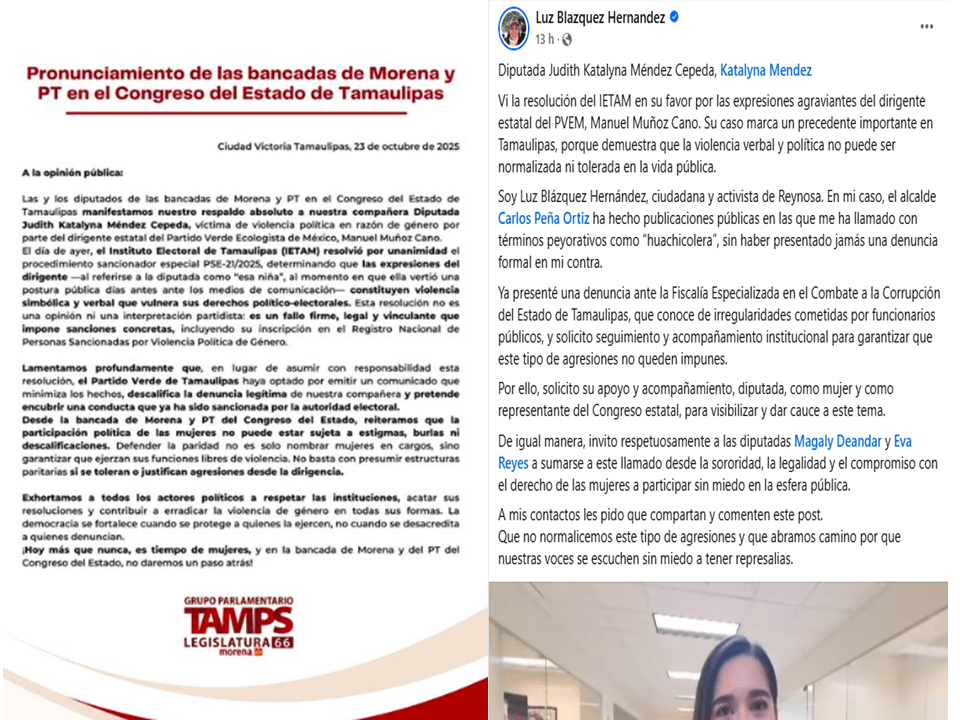 El Verde se pinta de paridad… pero gobierna con&nbsp;misoginia