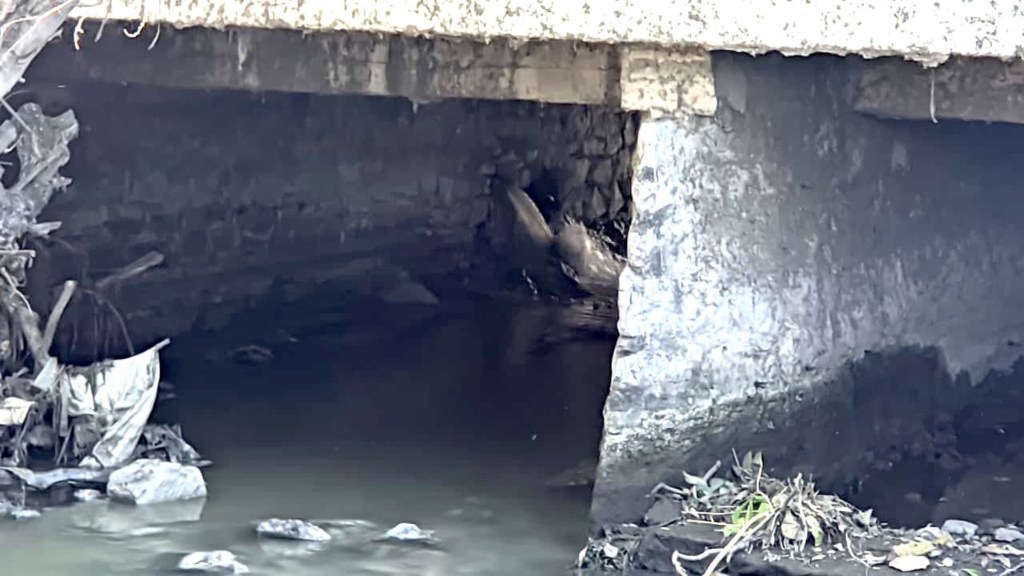 Atienden la PAUT posible riesgo ambiental en El Mante por fuga en&nbsp;drenaje