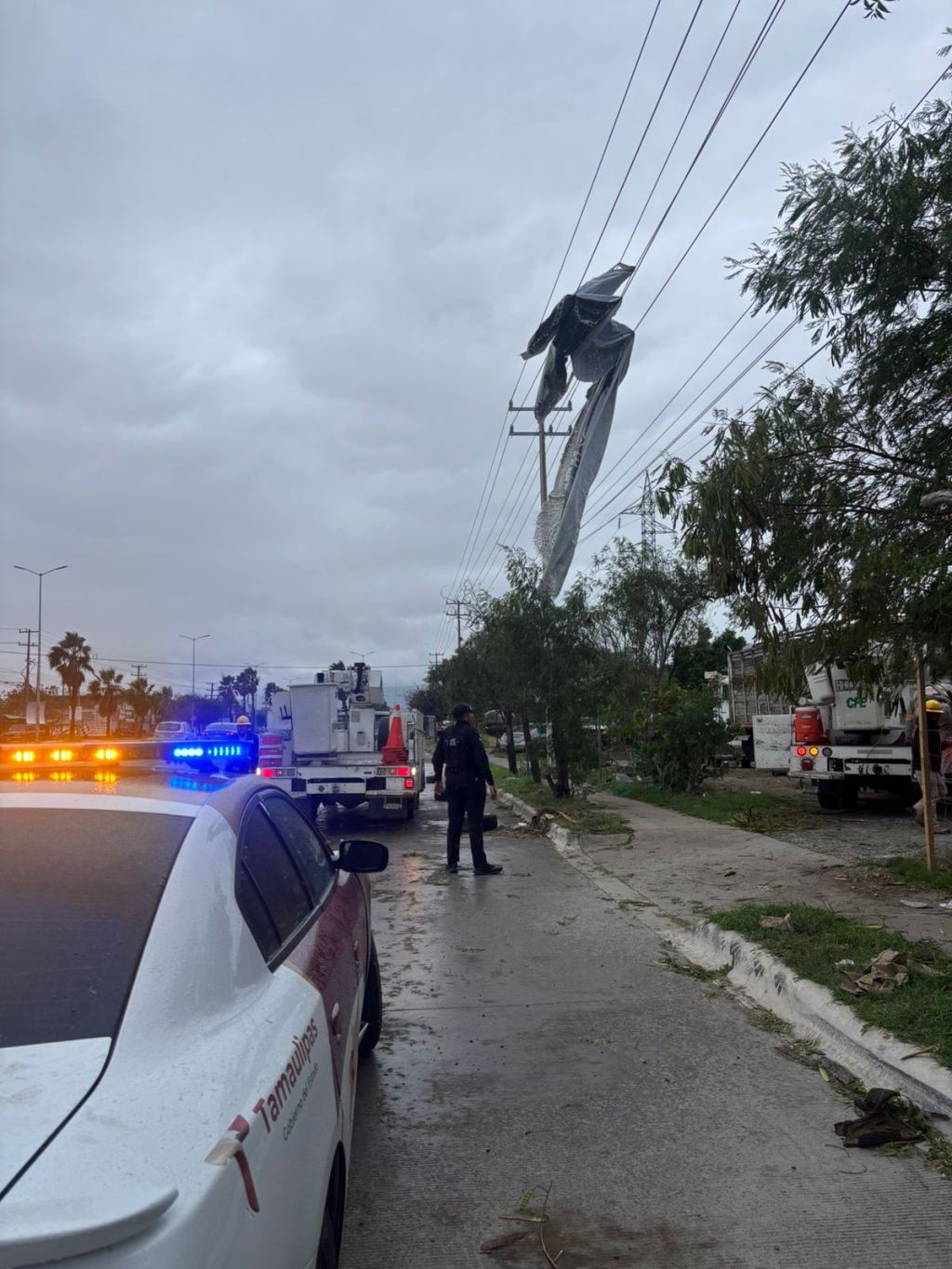 Tránsito Estatal reporta falla en semáforos y regula vialidad en Ciudad&nbsp;Victoria