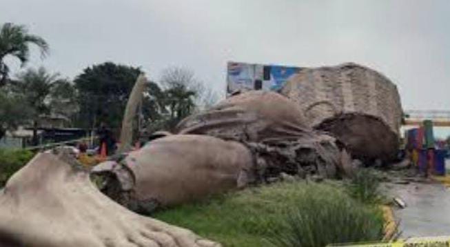 Colapsa el icónico monumento “El Colotero” en Álamo&nbsp;Temapache