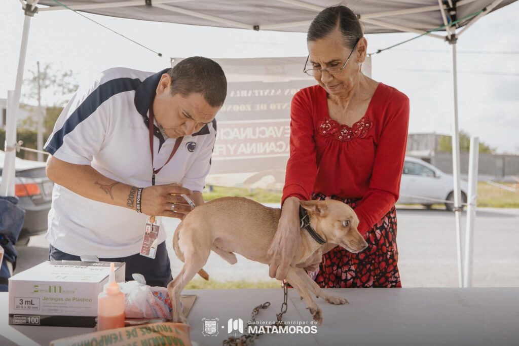 Gobierno de Matamoros impulsa la salud y el bienestar animal en la Colonia Los&nbsp;Álamos