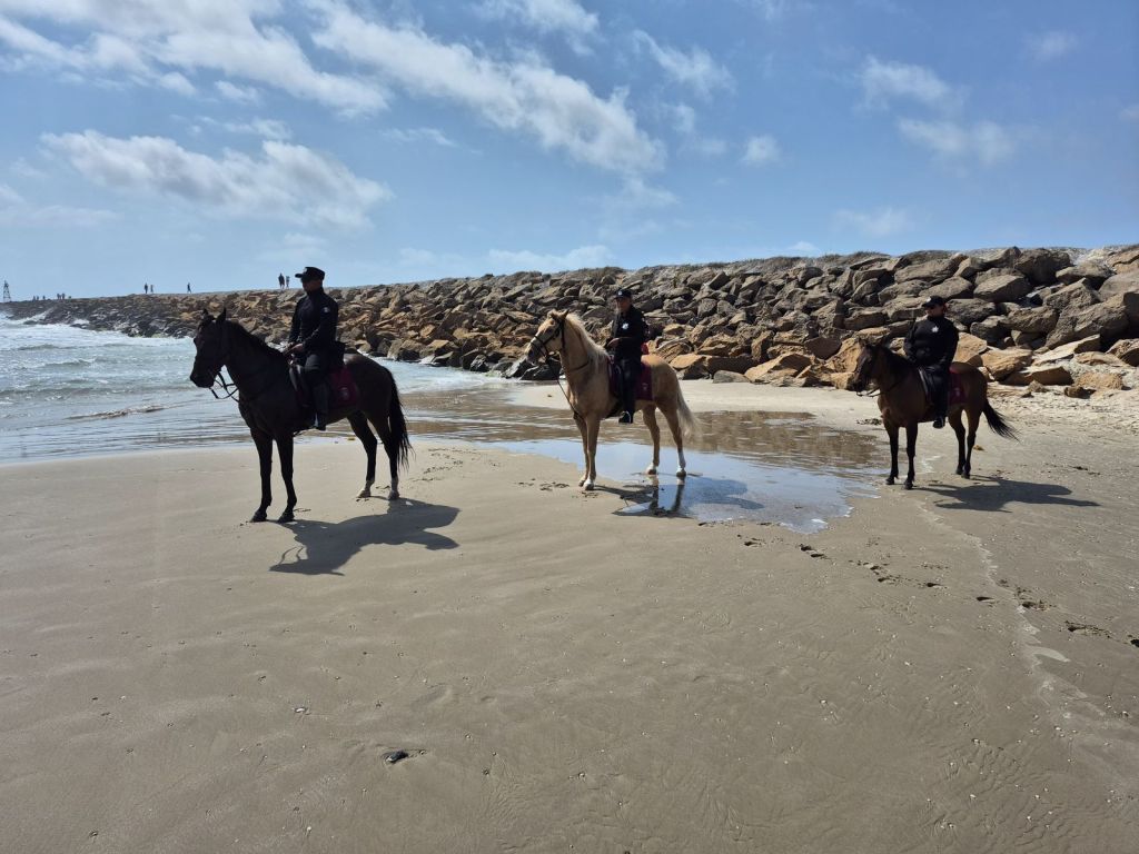 Agrupamiento Montado brinda seguridad y atención en Soto la&nbsp;Marina