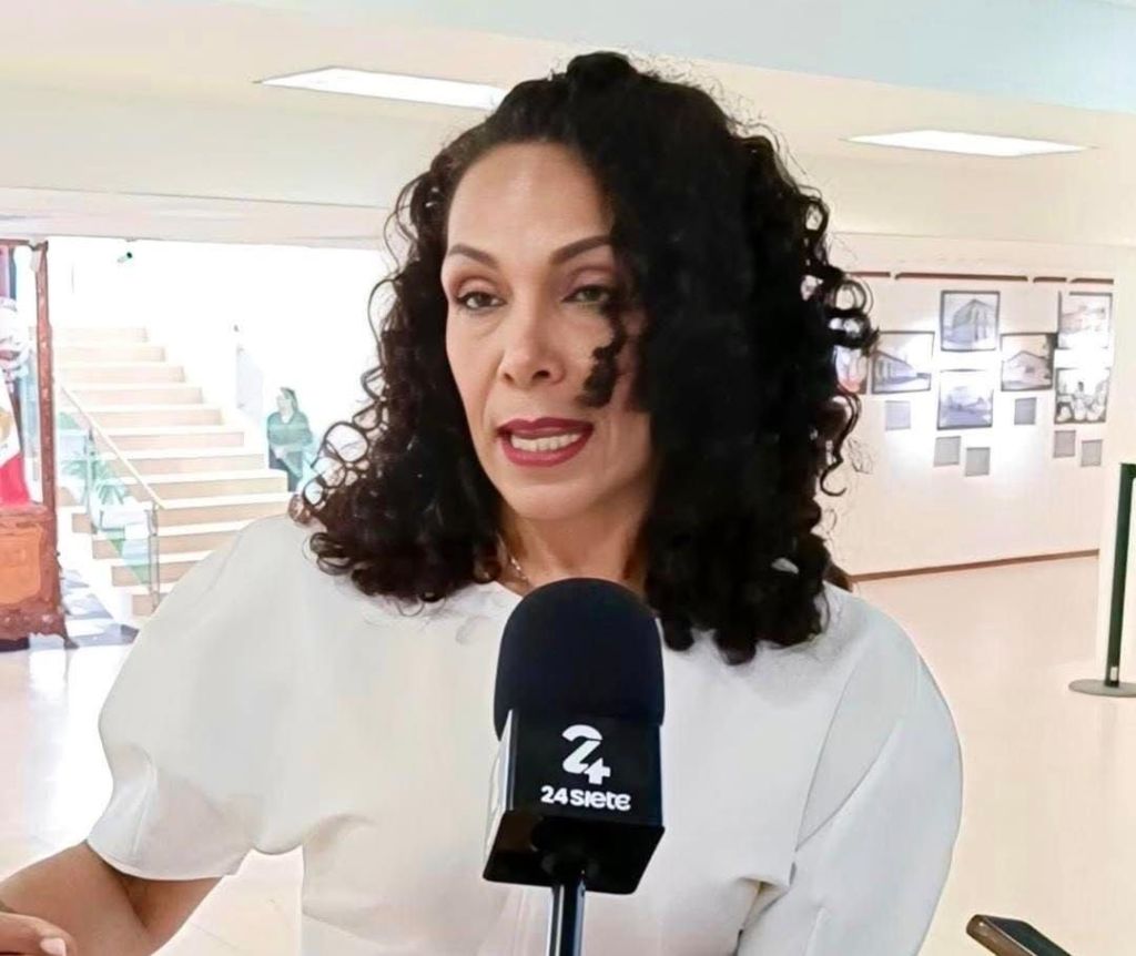 La Ley Mordaza para callar a periodistas y críticas ciudadanas