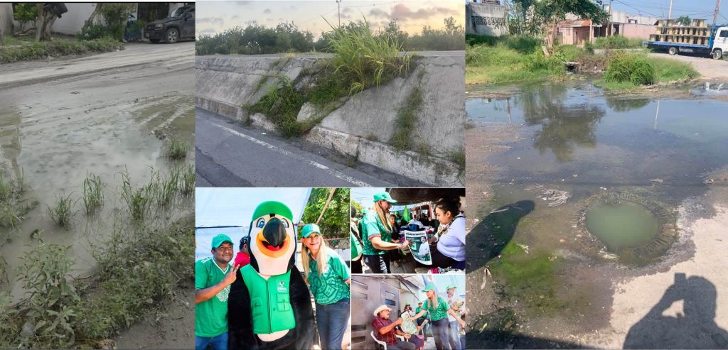 “REYNOSA ENTRE AGUAS NEGRAS, Y PASTIZALES Y, MAKI&nbsp;ENCAMPAÑADA”