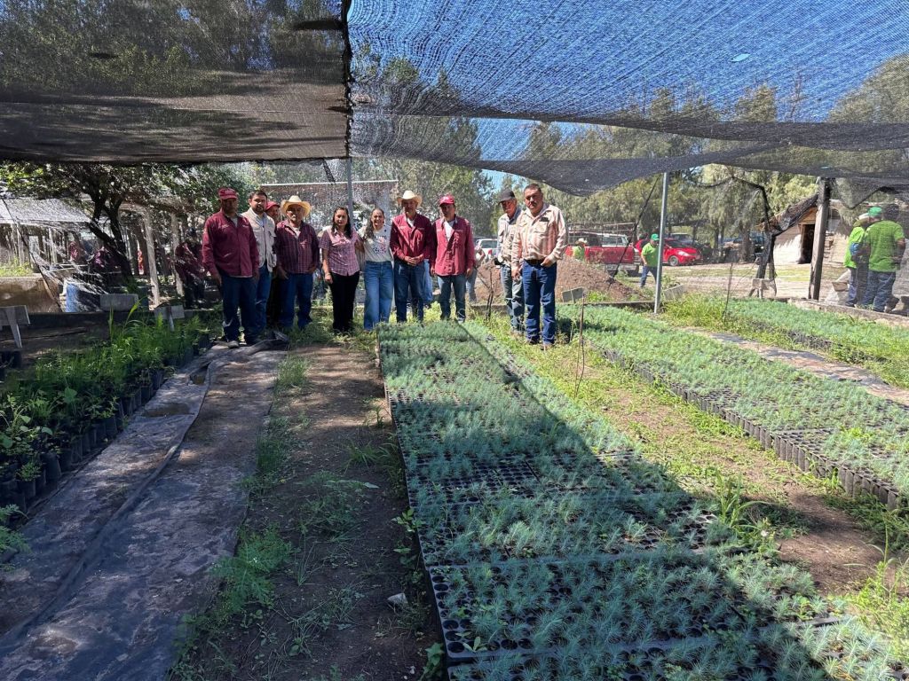 Senadora Olga Sosa recorre viveros de Sembrando Vida en&nbsp;Miquihuana