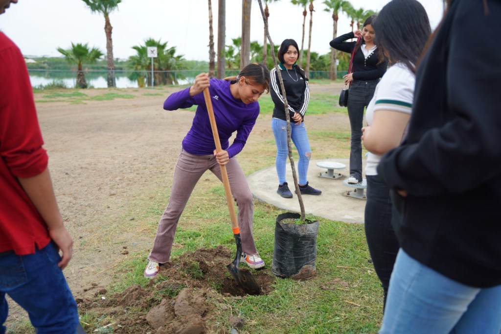 SUPERA GOBIERNO MUNICIPAL LOS 5 MIL ÁRBOLES PLANTADOS A TRAVÉS DE ARBOLEANDO&nbsp;NLD