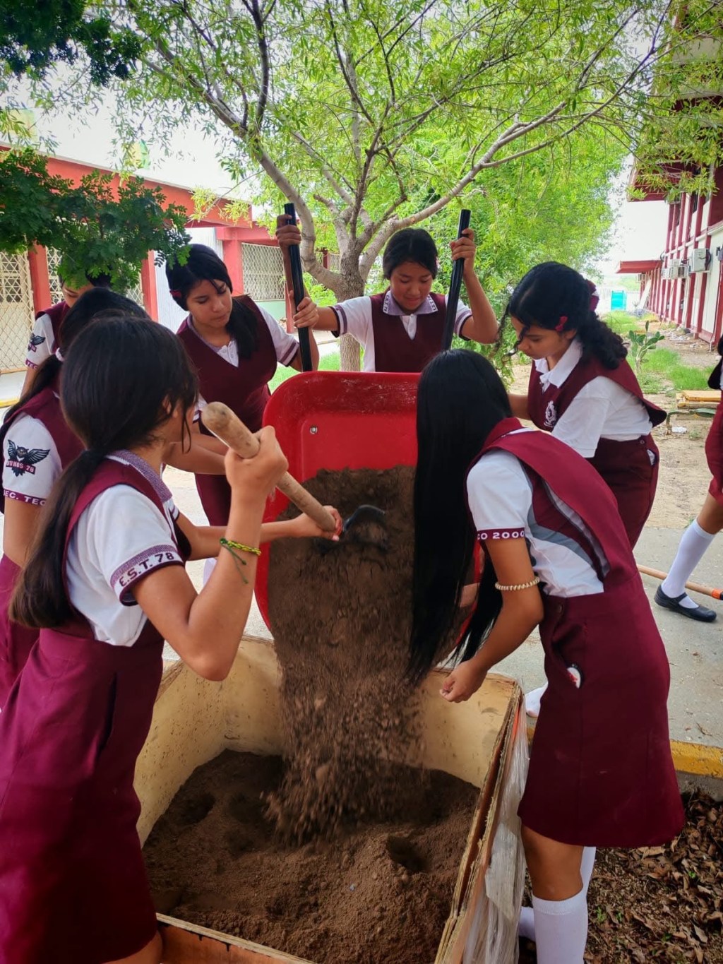 SUMA GOBIERNO MUNICIPAL MÁS DE MIL JARDINES POLINIZADORES AL DESARROLLO AMBIENTAL DE LA CIUDAD